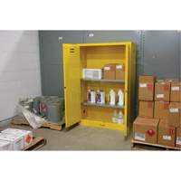 Armoire pour produits inflammables, 45 gal., 2 Porte(s), 43" La x 65" h x 18" p Absolute Business Supply