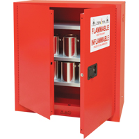 Armoire pour peintures et encres, 45 gal., 3 tablettes Absolute Business Supply
