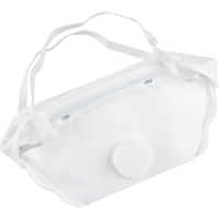 Respirateur contre les particules, N95, Certifi&eacute; NIOSH, Moyen/grand Absolute Business Supply