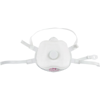Respirateur contre les particules, P100, Certifi&eacute; NIOSH, Moyen/grand Absolute Business Supply