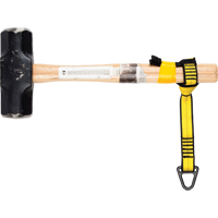 Sangle de fixation pour outil Absolute Business Supply