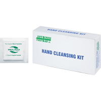 Hand Cleansing Moist Wipes, Towelette Absolute Business Supply