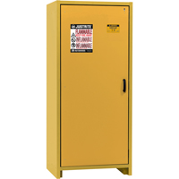 Armoire d'entreposage 30 minutes s&eacute;curitaire et conforme &agrave; la norme EN, 30 gal., 1 Porte(s), 34,02" La x 76,65" h x 24,21" p Absolute Business Supply