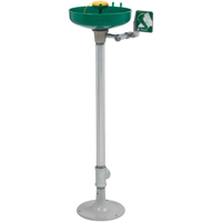 Axion&reg; Eye/Face Wash Station, Pedestal Installation, Plastic Bowl Absolute Business Supply