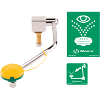 Eye/Face Wash Station, Sink Mount Installation Absolute Business Supply