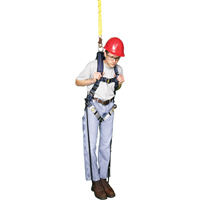 Sangles de s&eacute;curit&eacute; pour traumatisme de la suspension Absolute Business Supply