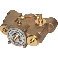 Vannes de m&eacute;lange thermostatique, 78 gal./min Absolute Business Supply