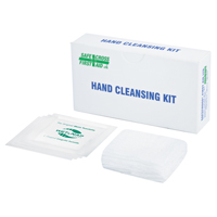 Hand Cleansing Kit, Towelette Absolute Business Supply