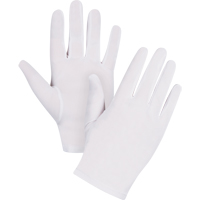 Low-Lint Inspection Gloves, Nylon, Hemmed Cuff, Ladies/X-Small Absolute Business Supply