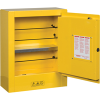 Mini-armoires de s&eacute;curit&eacute; Sure-Grip EX pour produits inflammables, 2 gal., 1 Porte(s), 17" La x 22" h x 8" p Absolute Business Supply