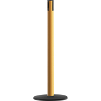 Syst&egrave;me Advance TensaBarrier - Poteau r&eacute;cepteur, Hauteur de 36", Jaune Absolute Business Supply