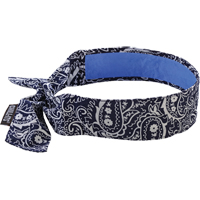Chill-Its&reg; 6700CT Cooling Bandanas, Blue Absolute Business Supply