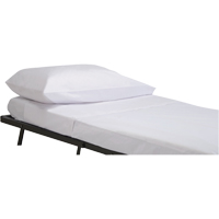 Flat Sheet Absolute Business Supply