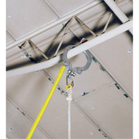 Extension Pole & Hook Absolute Business Supply