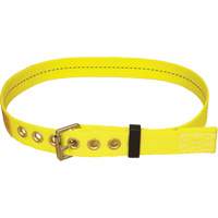 Ceinture avec boucle &agrave; ardillon Delta Absolute Business Supply
