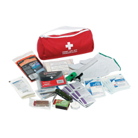 Trousse de premiers soins pour auto Dynamic, Dispositif m&eacute;dical Classe 1, Sac en nylon Absolute Business Supply