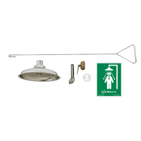 Concealed Drench Shower, Ceiling-Mount Absolute Business Supply