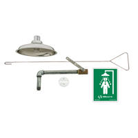 Drench Shower, Ceiling-Mount Absolute Business Supply