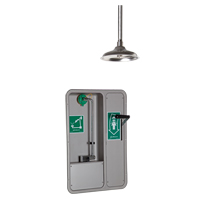 Eye/Face Wash and Shower, Ceiling-Mount Absolute Business Supply