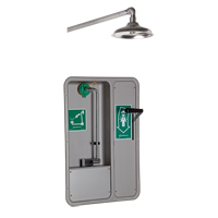 ADA Eye/Face Wash and Shower, Ceiling-Mount Absolute Business Supply