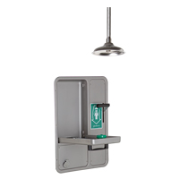 Eye/Face Wash and Shower, Ceiling-Mount Absolute Business Supply
