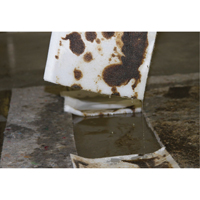 Chiffons pour l'huile Spilltration, Huile seulement, 16" x 10", 29 gal. d'absorption Absolute Business Supply
