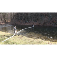 Balle SpillBoa, Huile seulement, 25' lo x 5" la, Absorption 28 gal., 4 /pqt Absolute Business Supply