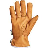 Gants de conducteur Endura, Petit, Paume en Cuir fleur de ch&egrave;vre, Thinsulate Absolute Business Supply