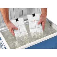 Chill-Its&reg; 6250 Phase Change Cooling Vest Packs Absolute Business Supply