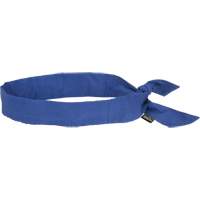 Cooling Bandana, Blue Absolute Business Supply