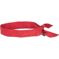 Cooling Bandana, Red Absolute Business Supply