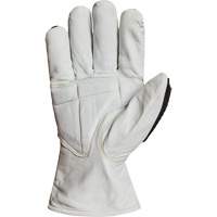 Gants r&eacute;sistant &agrave; la coupe et aux chocs Endura 378GKGVBE, Petit, Paume en Ch&egrave;vre, Poignet Conducteur Absolute Business Supply