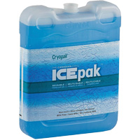 Ice-Pak IP-200 Reusable Transport Ice Pack Absolute Business Supply