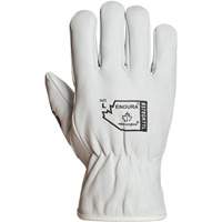 Endura&reg; Winter-Lined Driver Gloves, X-Large, Grain Goatskin Palm, Thinsulate Inner Lining Absolute Business Supply
