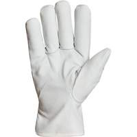 Endura&reg; Winter-Lined Driver Gloves, X-Large, Grain Goatskin Palm, Thinsulate Inner Lining Absolute Business Supply