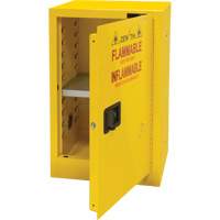 Armoire pour produits inflammables, 12 gal., 1 Porte(s), 23" La x 35" h x 18" p Absolute Business Supply