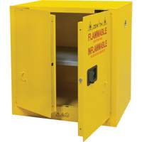 Armoire pour produits inflammables, 22 gal., 2 Porte(s), 35" La x 35" h x 22" p Absolute Business Supply