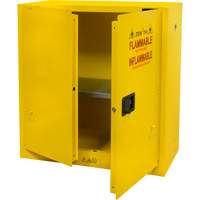 Armoire pour produits inflammables, 30 gal., 2 Porte(s), 43" La x 44" h x 18" p Absolute Business Supply