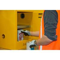 Armoire pour produits inflammables, 4 gal., 1 Porte(s), 17" La x 22" h x 18" p Absolute Business Supply