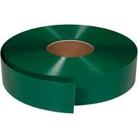 Ruban de marquage tr&egrave;s r&eacute;sistant pour plancher ArmorStripe, 2" x 100', PVC, Vert Absolute Business Supply