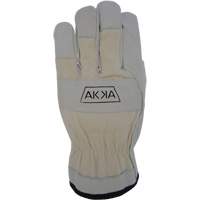 Cotton-Backed Drivers Gloves, Large, Grain Goatskin Palm Absolute Business Supply