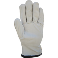 Cotton-Backed Drivers Gloves, Large, Grain Goatskin Palm Absolute Business Supply