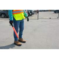 Safety Baton Light Absolute Business Supply