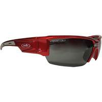 Lunettes de s&eacute;curit&eacute; Hartley, Lentille Gris, Polaris&eacute;, R&eacute;pond ou surpasse la norme CSA Z94.3 Absolute Business Supply