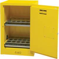 Armoire de rangement pour a&eacute;rosols inflammables, 12 gal., 1 Porte(s), 23" La x 35" h x 18" p Absolute Business Supply