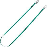 V-Series Tieback Restraint Lanyard, 10' Absolute Business Supply
