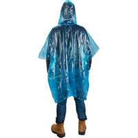 Poncho jetable Absolute Business Supply