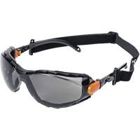 XPS502 Lunettes de s&eacute;curit&eacute; &eacute;tanches, Lentille Int&eacute;rieur/ext&eacute;rieur, Anti-&eacute;gratignures Absolute Business Supply