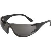 Adapt Safety Glasses, Smoke Lens, Anti-Fog/Anti-Scratch, ANSI Z87+/Meets/Exceeds CSA Z94.3 Absolute Business Supply