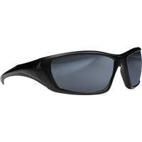 Lunettes de s&eacute;curit&eacute; Robson avec joint, Lentille Miroir argent&eacute;, Anti-&eacute;gratignures/Polaris&eacute;, ANSI Z87+/MCEPS GL-PD 10-12/R&eacute;pond ou surpasse la norme CSA Z94.3 Absolute Business Supply